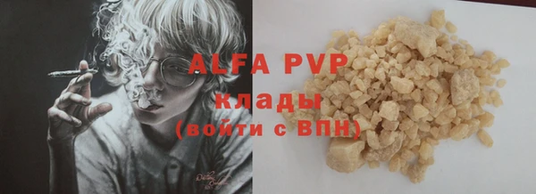 хмурый Арсеньев