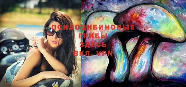 хмурый Арсеньев