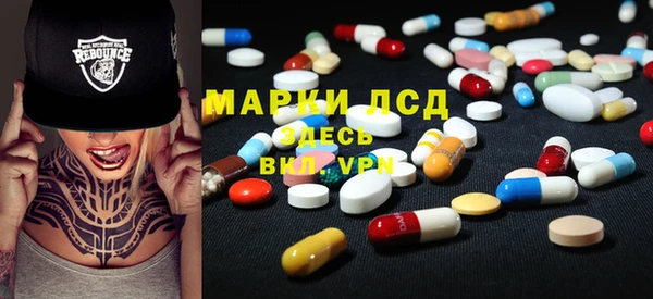 хмурый Арсеньев