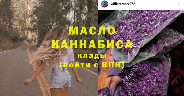 хмурый Арсеньев